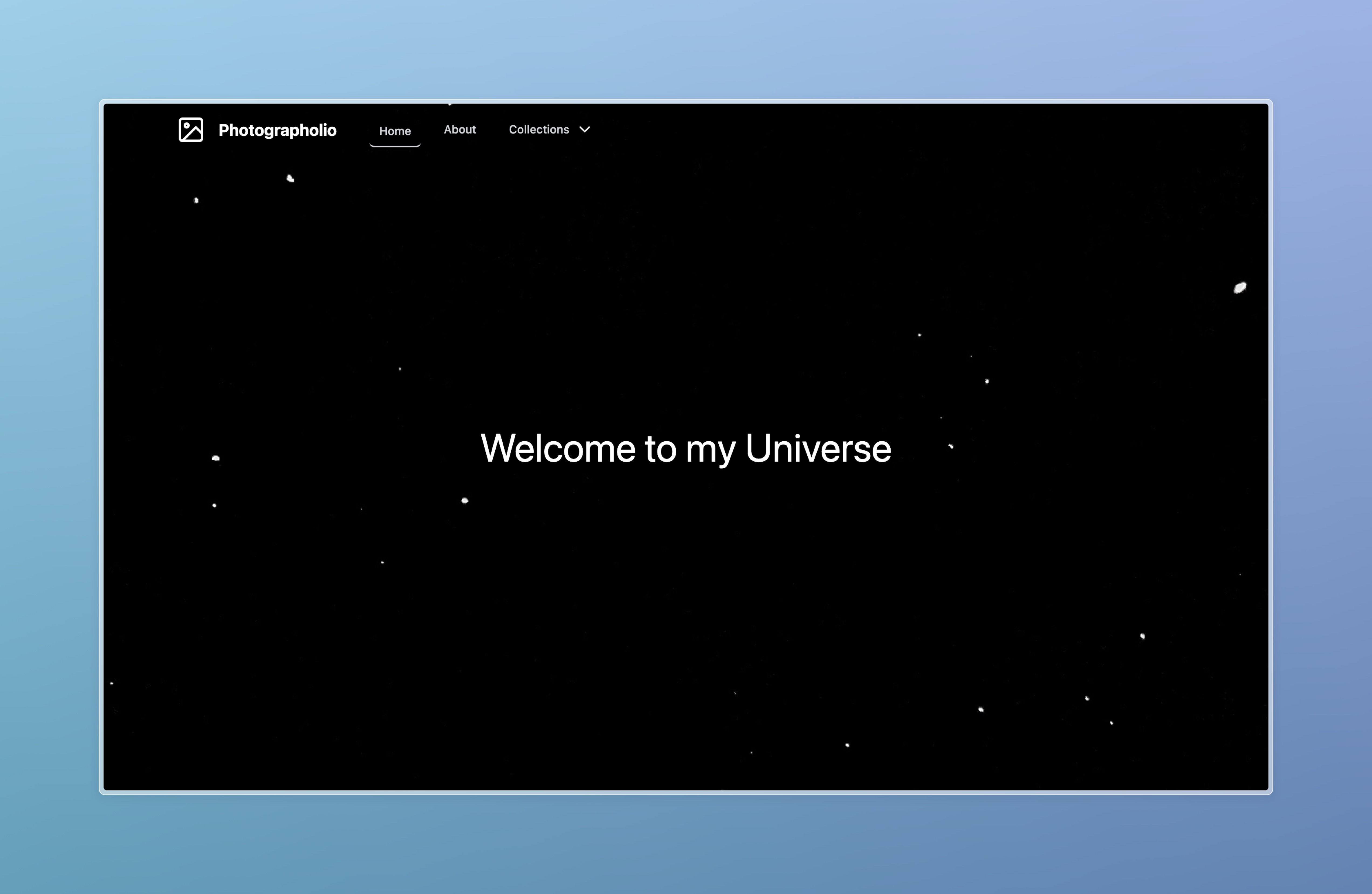 portfolio